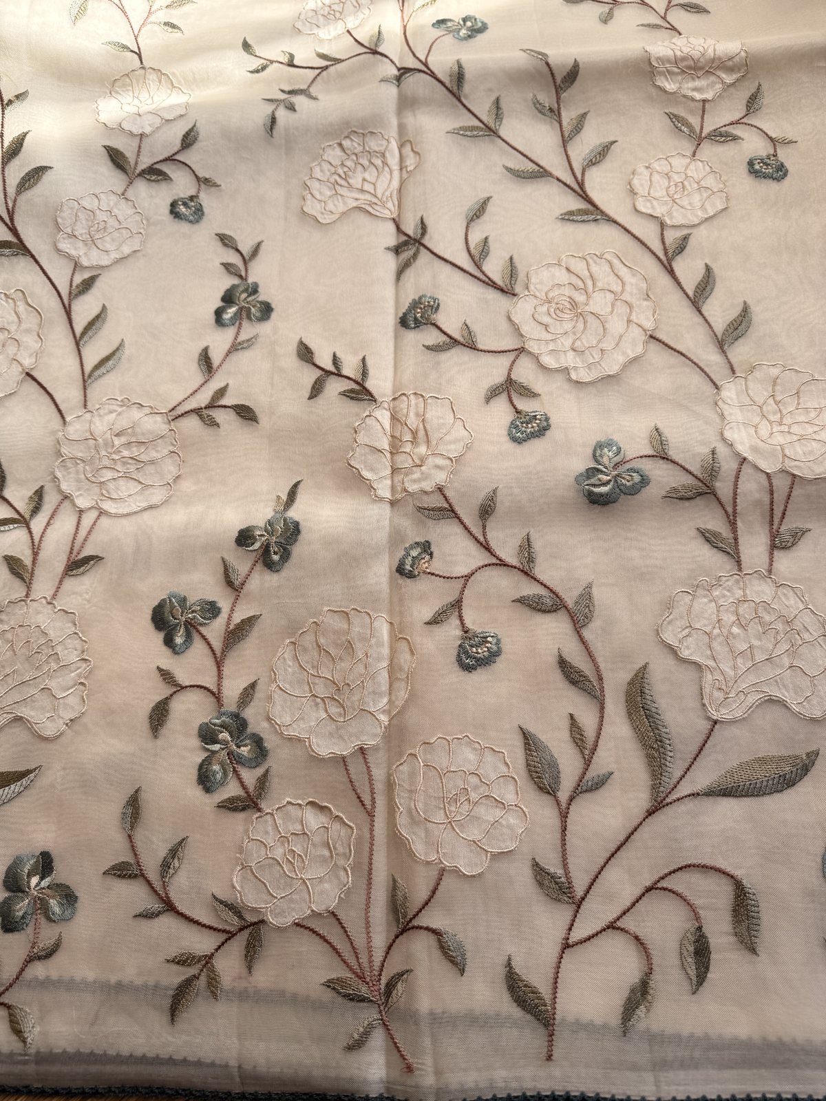Cream Handloom Organza Saree with Full Body Jaal – Blue Shade – view 2